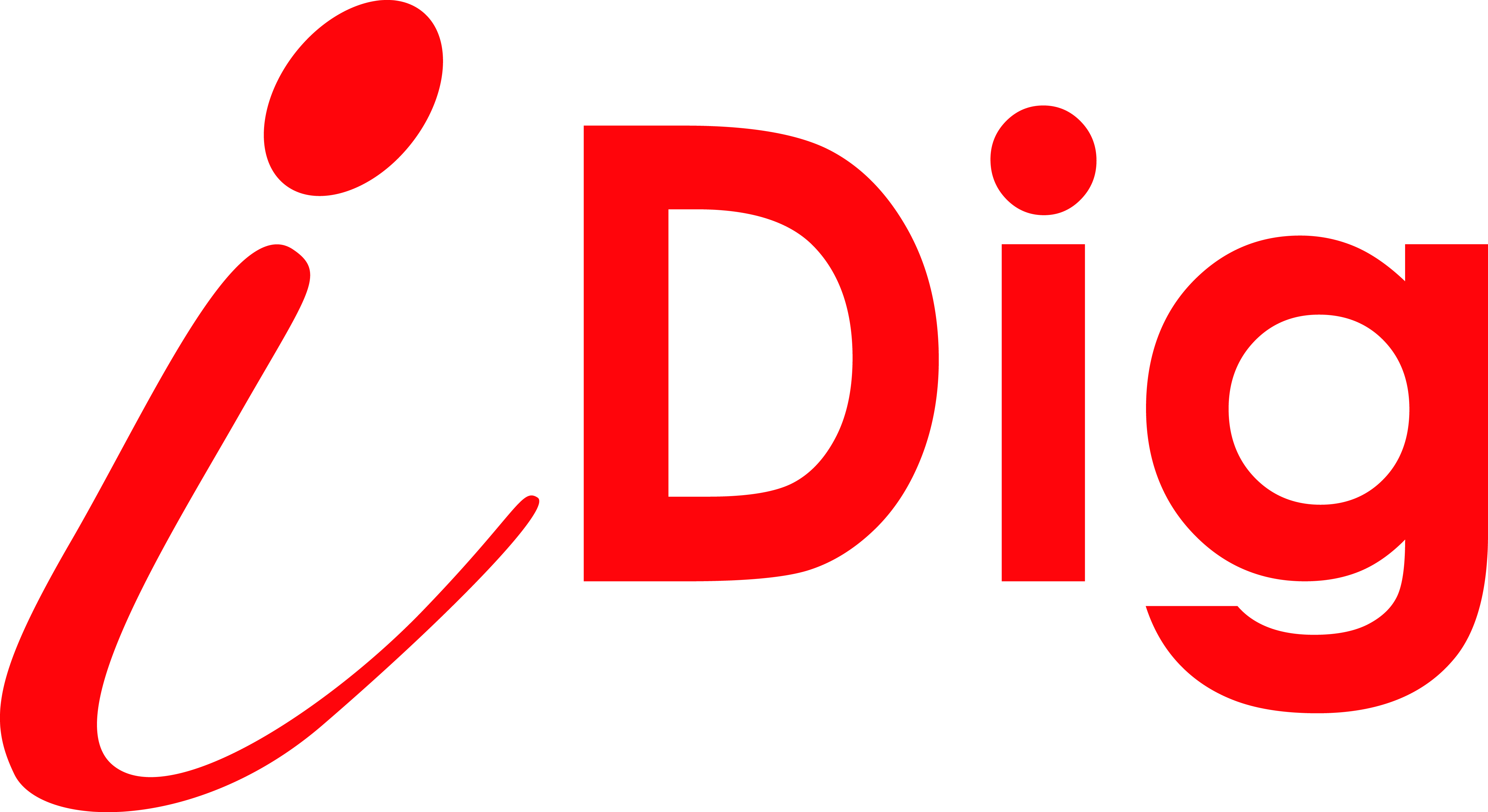 Logo Idig